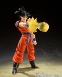 TAMASHII NATIONS S.H. FIGUARTS SON GOKU'S EFFECT PART SET