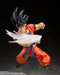 TAMASHII NATIONS S.H. FIGUARTS SON GOKU'S EFFECT PART SET