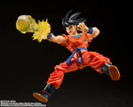 TAMASHII NATIONS S.H. FIGUARTS SON GOKU'S EFFECT PART SET