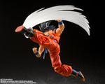 TAMASHII NATIONS S.H. FIGUARTS SON GOKU'S EFFECT PART SET