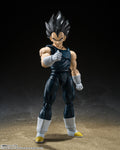 TAMASHII NATION S.H. FIGUARTS VEGETA SUPER HERO